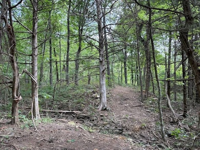 Tract 3 4 unit Terrapin Road, Harrison, AR 72601 - photo 4