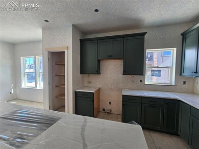 16247 Monument Rock Ct, Monument, CO 80132 - photo 4