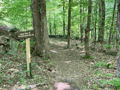 0 Mary Rowe Dr, Hillsboro, NH 03244 - photo 6