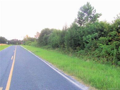 2301 Smith Rd, Clover, SC 29710 - photo 3