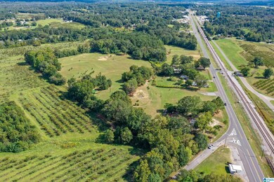 22248 U S Highway 31 unit 1, Thorsby, AL 35171 - photo 7