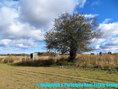 V/L N Jefferson St, Ionia, MI 48846 - photo 2