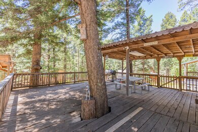 22 Wild Rose, Cloudcroft, NM 88317 - photo 5