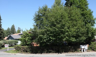 Corner Lot, Loads of Privacy