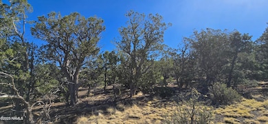 20202016s No Name Rd, Williams, AZ 86046 - photo 6