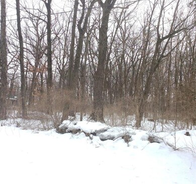 7217 W 126th Ave, Crown Point, IN 46307 - photo 4