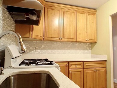 32 Juniper St unit 98, Brookline, MA 02445 - photo 4