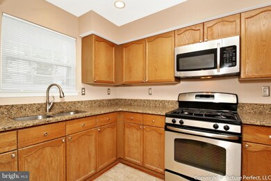 7137 Collinsworth Place, Frederick, MD 21703 - photo 7