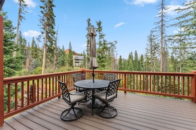 91791 Ryan Gulch Rd, Silverthorne, CO 80498 - photo 3