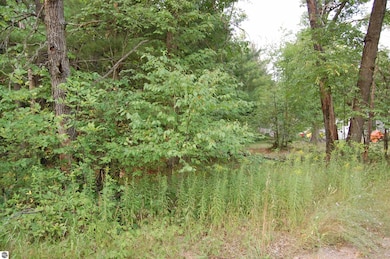 LOT 21-22 George St unit 21-22, Skidway Lake, MI 48756 - photo 3
