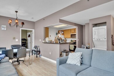 169 Monsignor Obrien Hwy unit 315, Cambridge, MA 02141 - photo 5