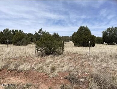 30386 W Basconia Rd unit 4394, Seligman, AZ 86337 - photo 5