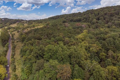 734 Forest Grove Rd unit 703, Lexington, VA 24450 - photo 6