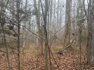 0 Paradise Rd unit 58029, Farmville, VA 23901 - photo 4