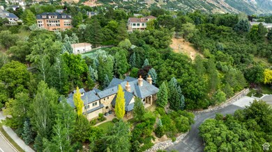 Bird's eye view of a tree filled landscape