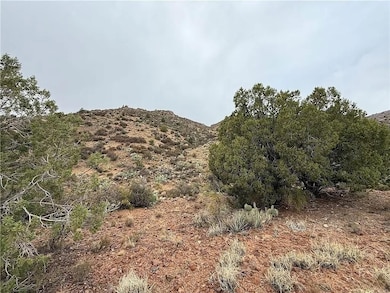 Purple Heart Trail, Kingman, AZ 86401 - photo 5