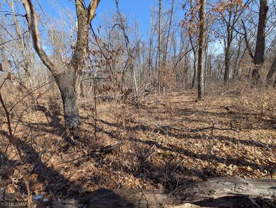 TBD Navaho Trail, Breezy Point, MN 56472 - photo 4