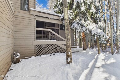 645 Sneaky Ln, Aspen, CO 81611 - photo 3