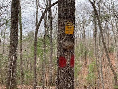 179.88 Ac Fain Peak, Murphy, NC 28906 - photo 4