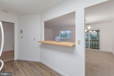 1701 Mount Washington Ct unit K, Baltimore, MD 21209 - photo 7