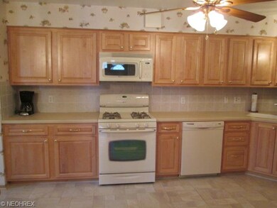 New Kitchen Cabinets, Counter Top, Backsplash and 
