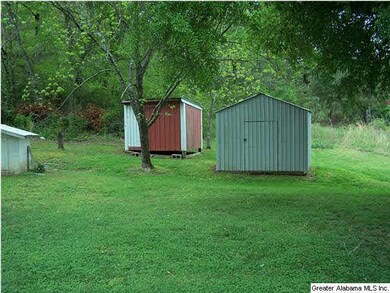 Storage buildings in back yard