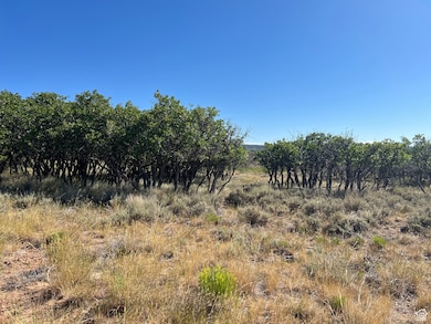 32 N Porcupine, La Sal, UT 84530 - photo 2