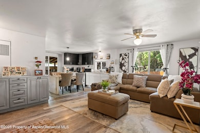 5033 County Road 335 unit 88, New Castle, CO 81647 - photo 4