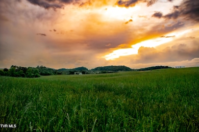 2200 Rd, Limestone, TN 37681 - photo 3