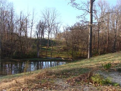 Nice size lake with lots of wildlife This picture 