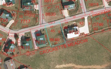 Lot 45 County GIS Aerial