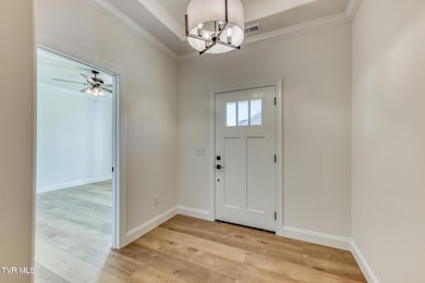 111 Quiet Stroll Ln, Gray, TN 37615 - photo 6