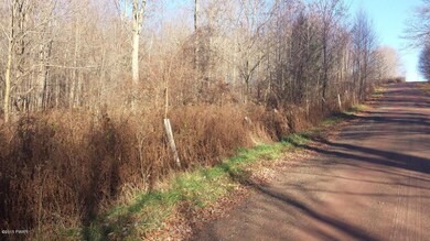 0 Siko Rd unit PWB155722, Honesdale, PA - photo 4