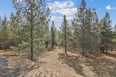 NKA Weaver Rd unit Lot 3 of Lot 11, Deer Park, WA 99006 - photo 7