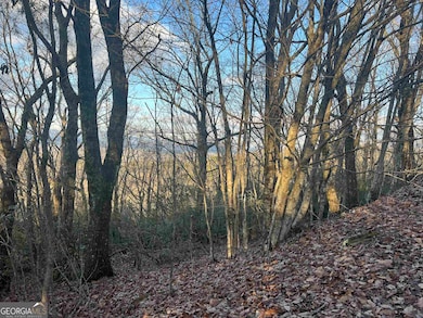 0 Daybreak Rd unit 10656893, Cleveland, GA 30528 - photo 6