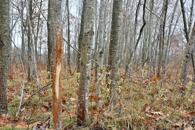 V L Hatton Rd, Farwell, MI 48622 - photo 6