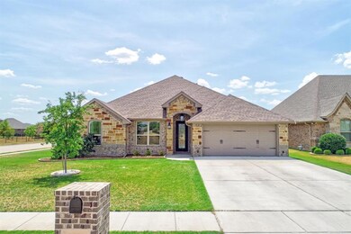 3301 Ferry Boat Ln, Granbury, TX 76049 - photo 4