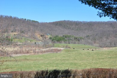 3822 Sperryville Pike, Sperryville, VA 22740 - photo 2