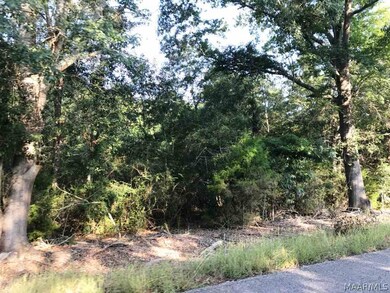 10.5 ACRES Willie Varnum Rd, Dothan, AL 36301 - photo 4