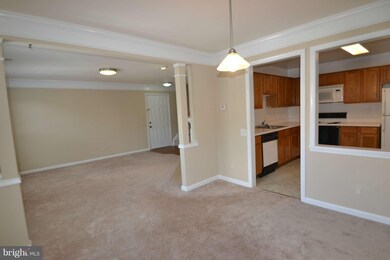 11193 Rienzi Place unit 204, Manassas, VA 20109 - photo 3