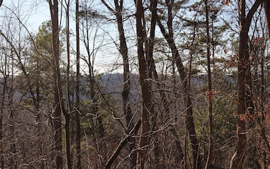 Additional View