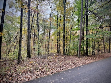 551 Harvey Fields Rd, Canton, GA 30114 - photo 5