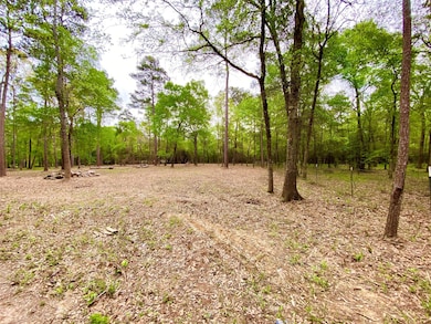 30118 Taylor Rd, Magnolia, TX 77354 - photo 3