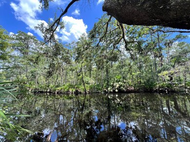 1528 NE Palm St, Steinhatchee, FL 32359 - photo 6