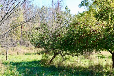 IMG_8568
