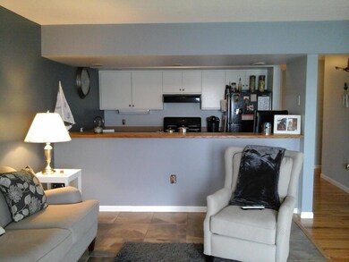Living Room w/Kitchen 2