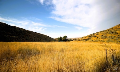 1550 Thousand Springs Rd, Weiser, ID 83672 - photo 4