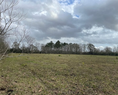 000 County Road 2367, Hardin, TX 77575 - photo 2