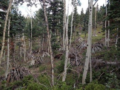 805 & 815 W Shale Cir unit ZVME E 138 & 139, Duck Creek Village, UT 84762 - photo 5