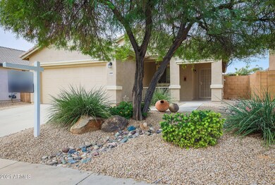 Shady Front yard